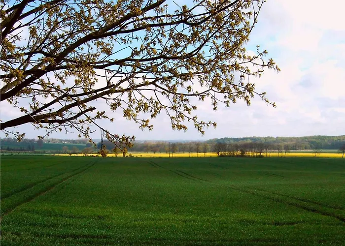 Mit Weitblick Holtsee